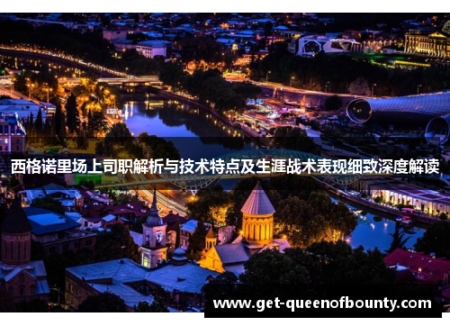 西格诺里场上司职解析与技术特点及生涯战术表现细致深度解读