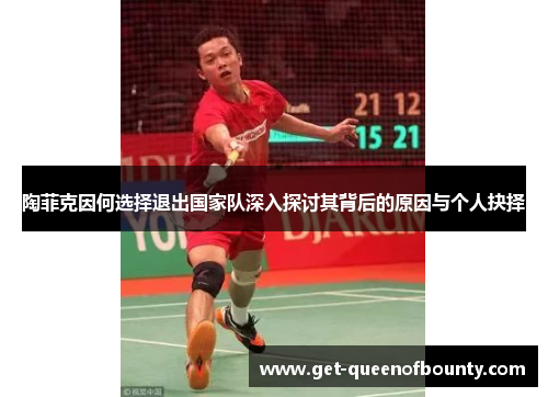 陶菲克因何选择退出国家队深入探讨其背后的原因与个人抉择